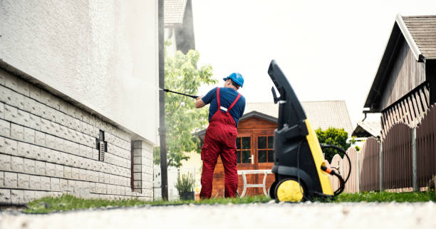 Best Exterior Home Cleaning  in Lanark, IL